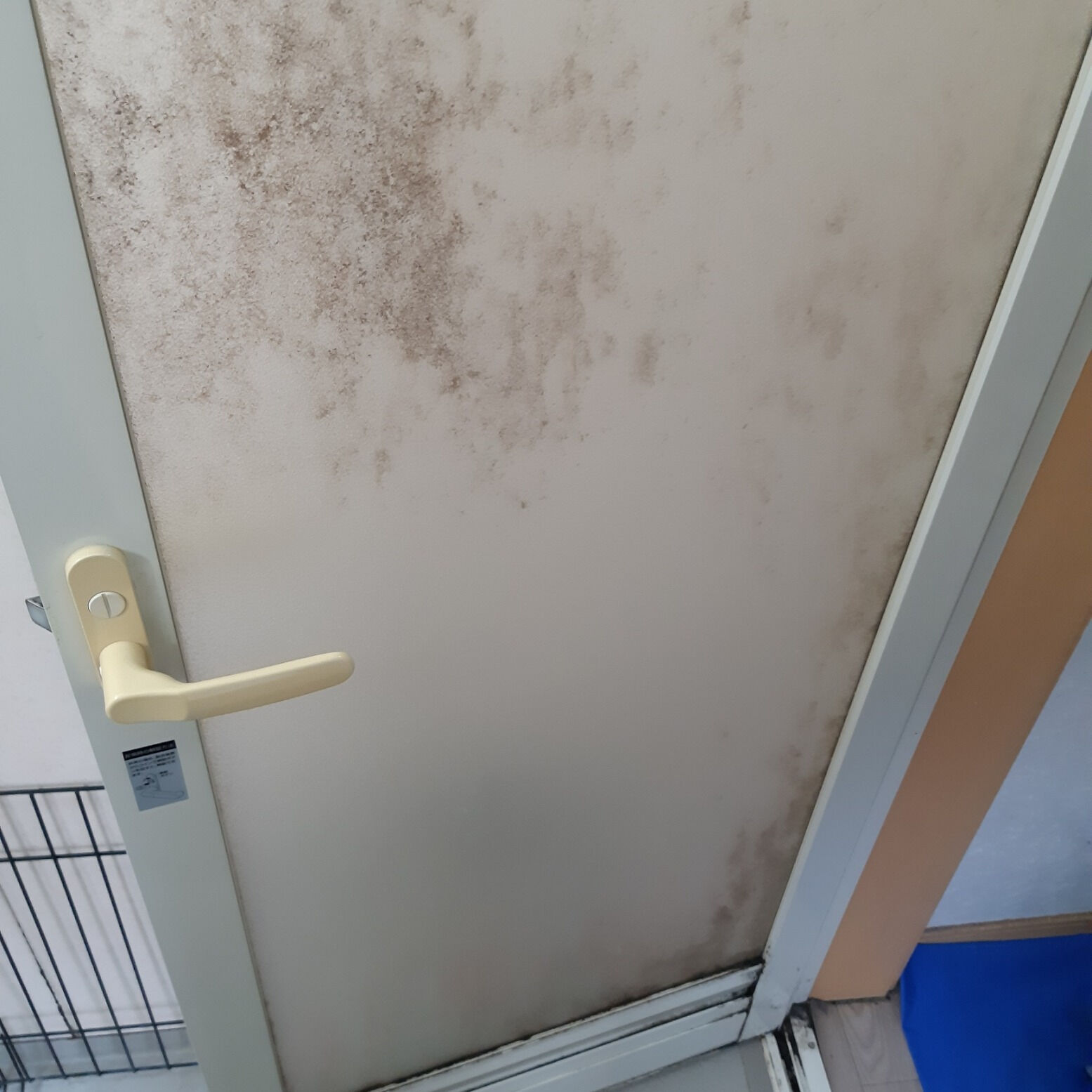 浴室がきれいだと気持ちいい！